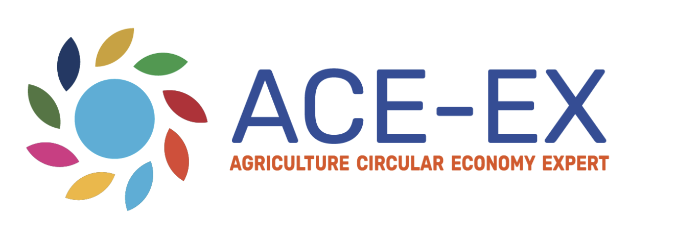 ACE-EX - pilotaż kursów eksperckich